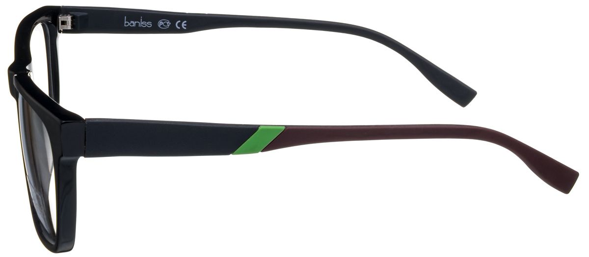 Baniss 8004 2