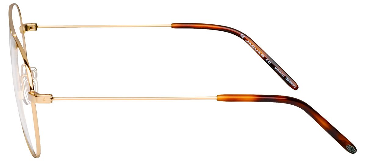 Jaguar 33713 6000