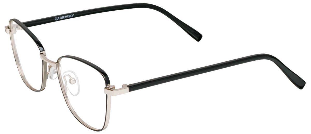 Culturavision A DS/S21 1