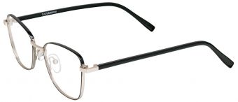 Culturavision A DS/S21 1