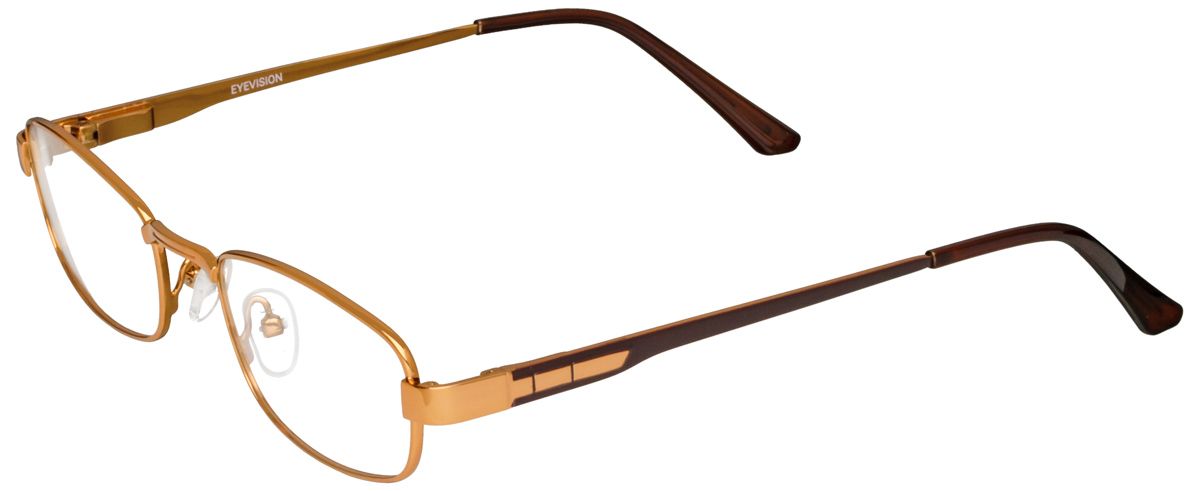 Eyevision A DS-L17 4